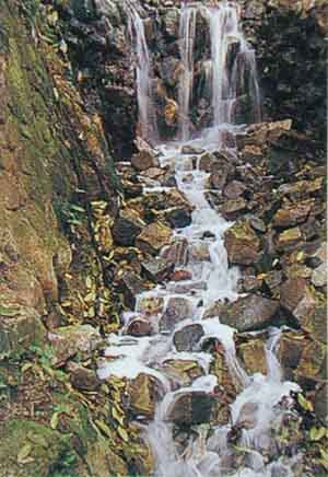 Yangmingshan National Park image