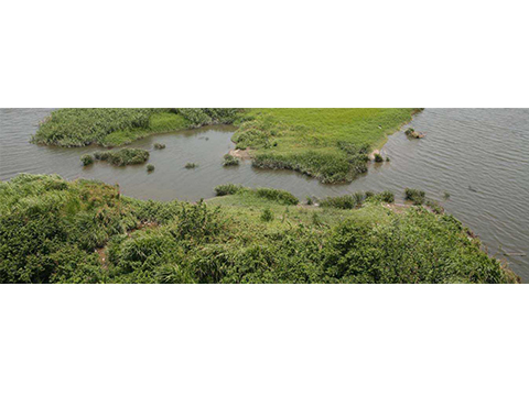 An Empty Terrain in the Danshui River,Taipei