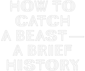 How to Catch a Beast —A Brief History