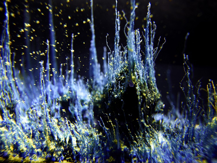 This multicolored grotto results from toxic chemicals that?the artist poured into an aquarium. He then filmed the process?of chemical solidification in the water and projected the?outcome onto a 180° screen. With this immersive process,?we are observing a landscape while being encapsulated in it.