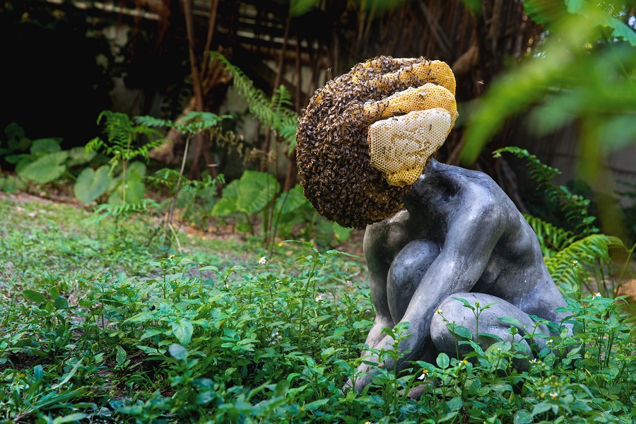 在美術館南進門旁的庭園中，一個蜂巢在一座女性雕塑的頭上不斷增生。