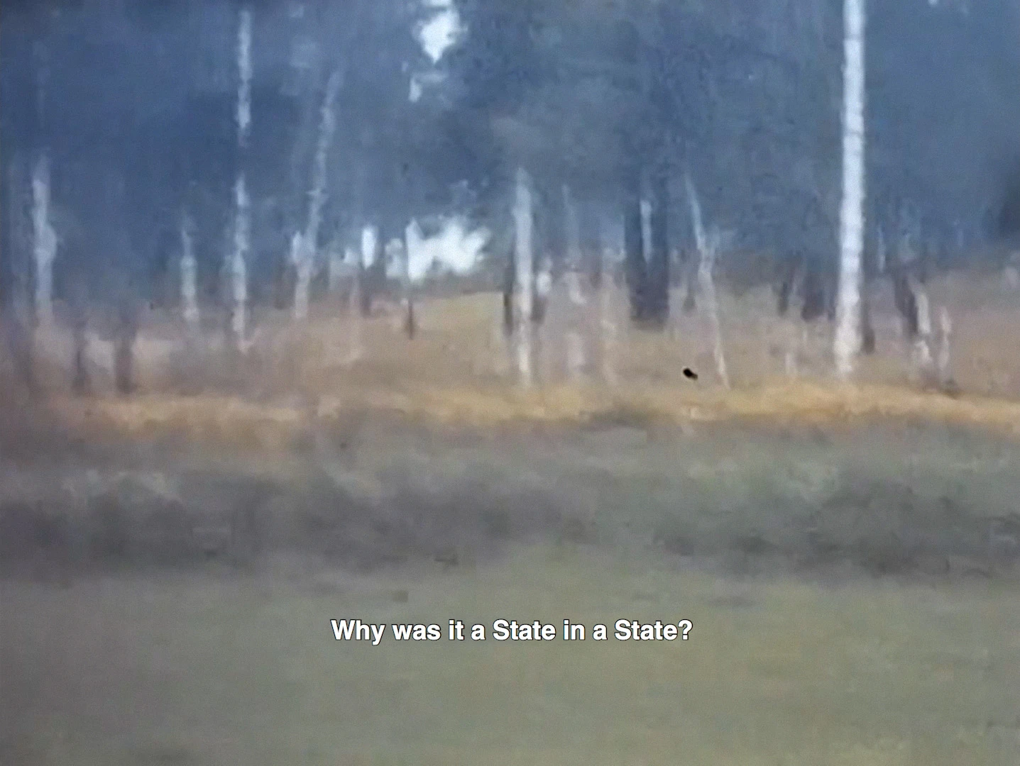 <i>A State in a State</i>, 2022, video, 47 minutes. Courtesy of the artist.-圖片