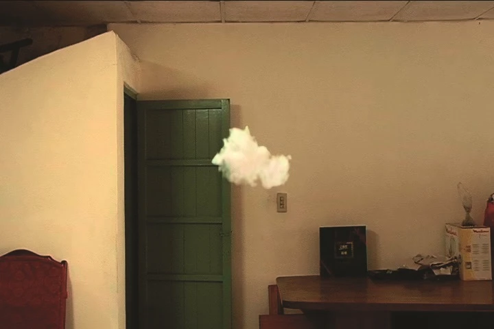 <i>Visitor</i>, 2007, video, 7 minutes, 11 seconds. Courtesy of Taipei Fine Arts Museum.-圖片