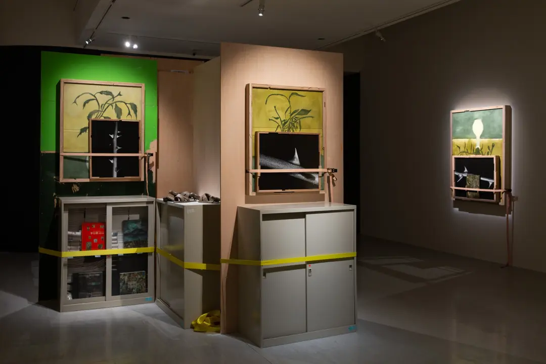 雅各波・貝納西-image