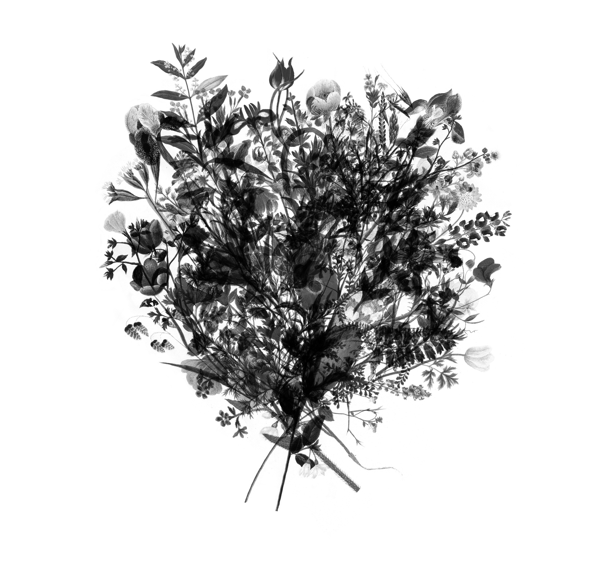 歐馬爾・米斯馬爾-image