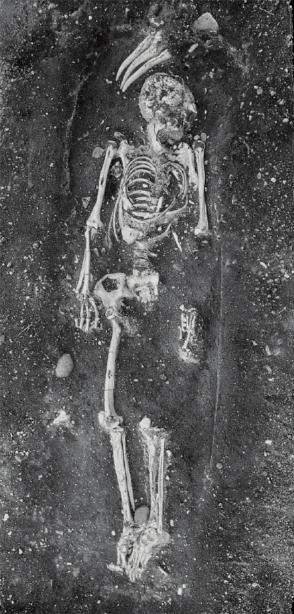 皮・斯塔弗-image